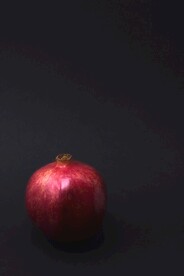 石榴             