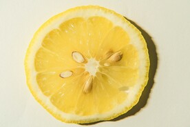 柠檬             