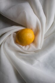 柠檬             