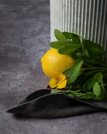 柠檬             
