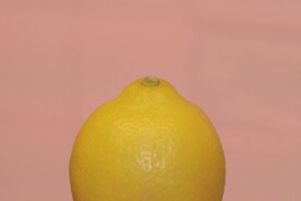 柠檬             