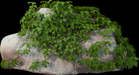 绿藤石块植物景观石岩石素材