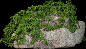 绿藤石块植物景观石岩石素材