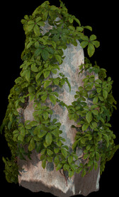 绿藤石块植物景观石岩石素材