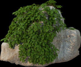 绿藤石块植物景观石岩石素材