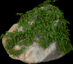 绿藤石块植物景观石岩石素材