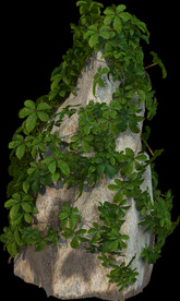 绿藤石块植物景观石岩石素材