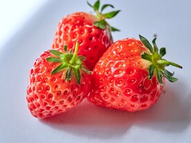草莓