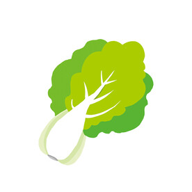 白菜