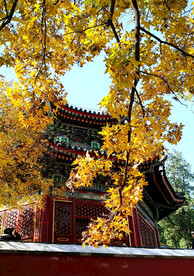 香山秋天