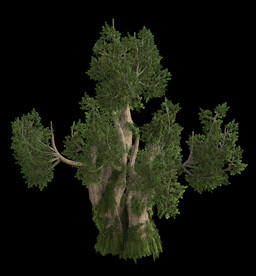 茂盛树木PSD透明背景素材