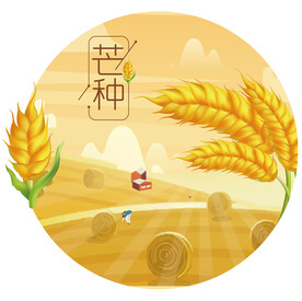 芒种