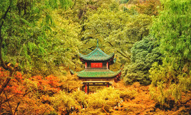 岳麓山秋天