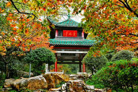 岳麓山秋天