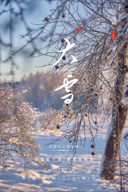 大雪