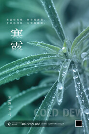 寒露节气海报