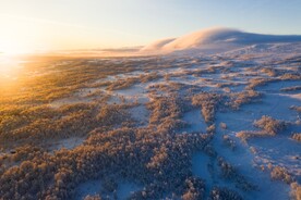 雪后阳光摄影