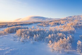 开阔雪景