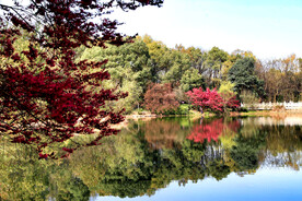 岳麓山穿石坡湖
