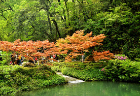 岳麓山秋天