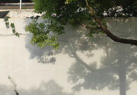 树枝 树荫 树影 墙壁 树木 