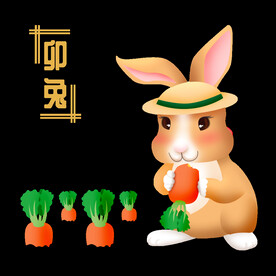 十二生肖兔