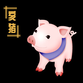 十二生肖猪