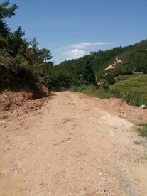 路
