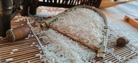 簸箕大米照片