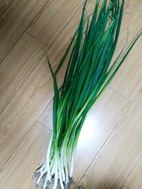 小香葱