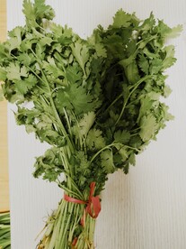 香菜