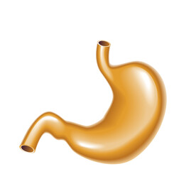 胃