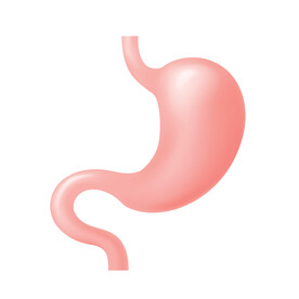 胃