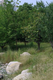 公园风景  