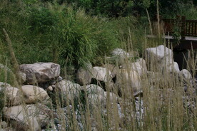 公园风景  