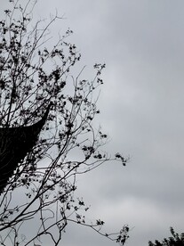 塔檐与天空