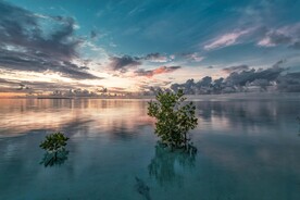 高清壁纸