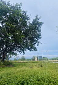 乡村景色