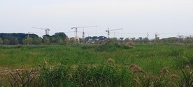 湿地公园施工塔吊
