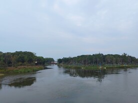湿地公园湖面树林风景