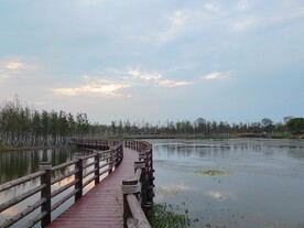 湿地公园健身木质步道小桥