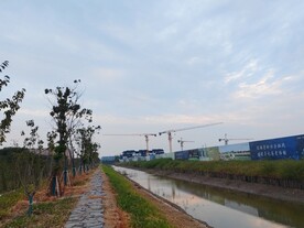 湿地公园施工塔吊