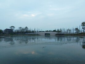 湿地公园石拱桥