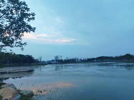 湿地公园晚霞风光施工塔吊