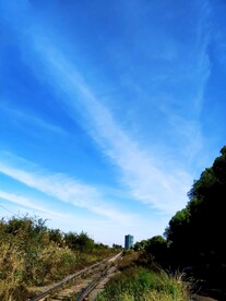 遥远的塔楼