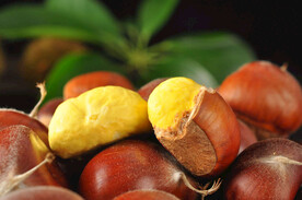 糖炒板栗摄影图