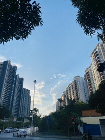 城市道路美景 