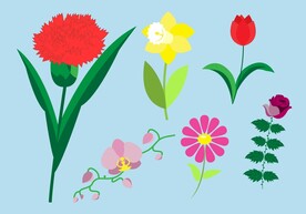 花素材