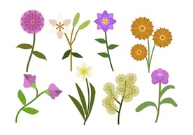 卡通花