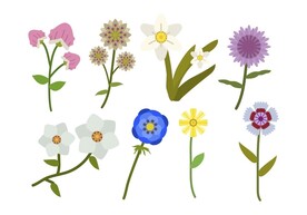 卡通花